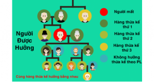 Thừa kế không có di chúc, thừa kế theo pháp luật, lập di chúc, Bộ luật Dân sự 2015, hàng thừa kế, sổ đỏ, Sổ hồng, giấy chứng nhận tài sản, Văn phòng công chứng,  tài sản thừa kế
